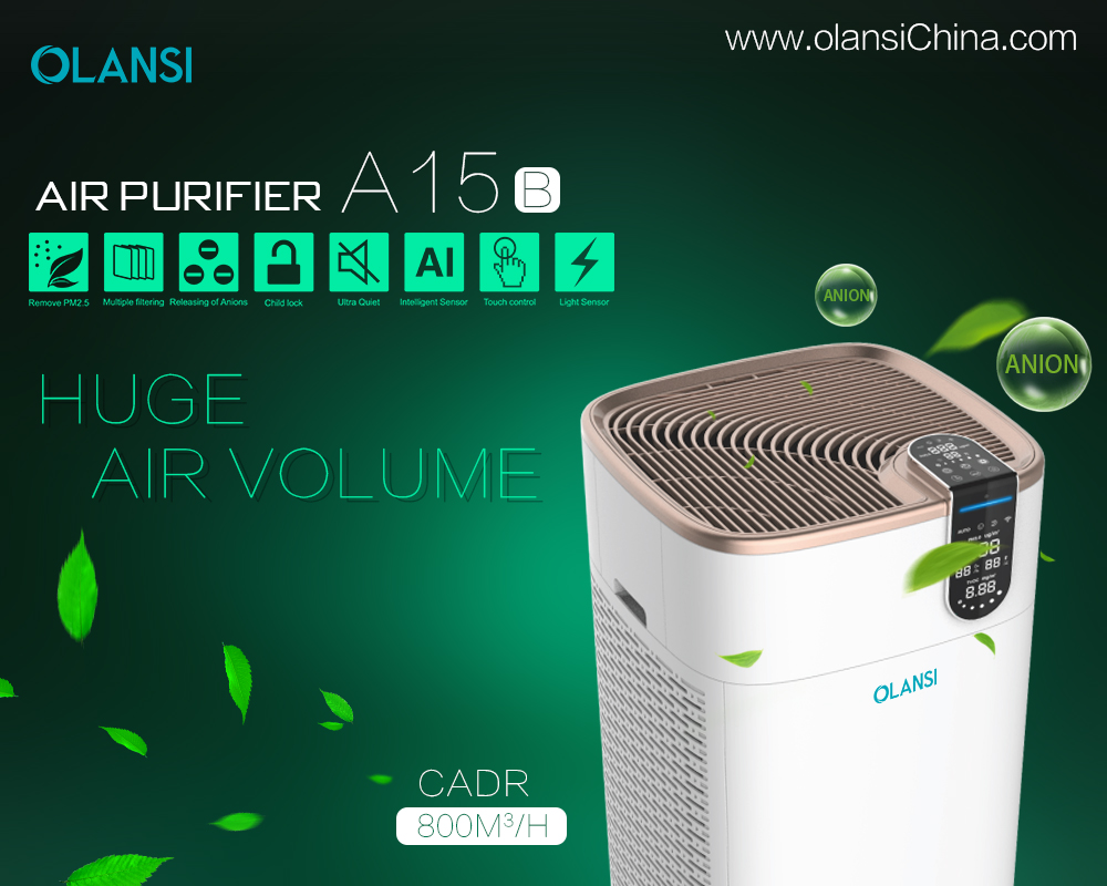 Choosing between a room air purifier and a whole house air purifier with UV light