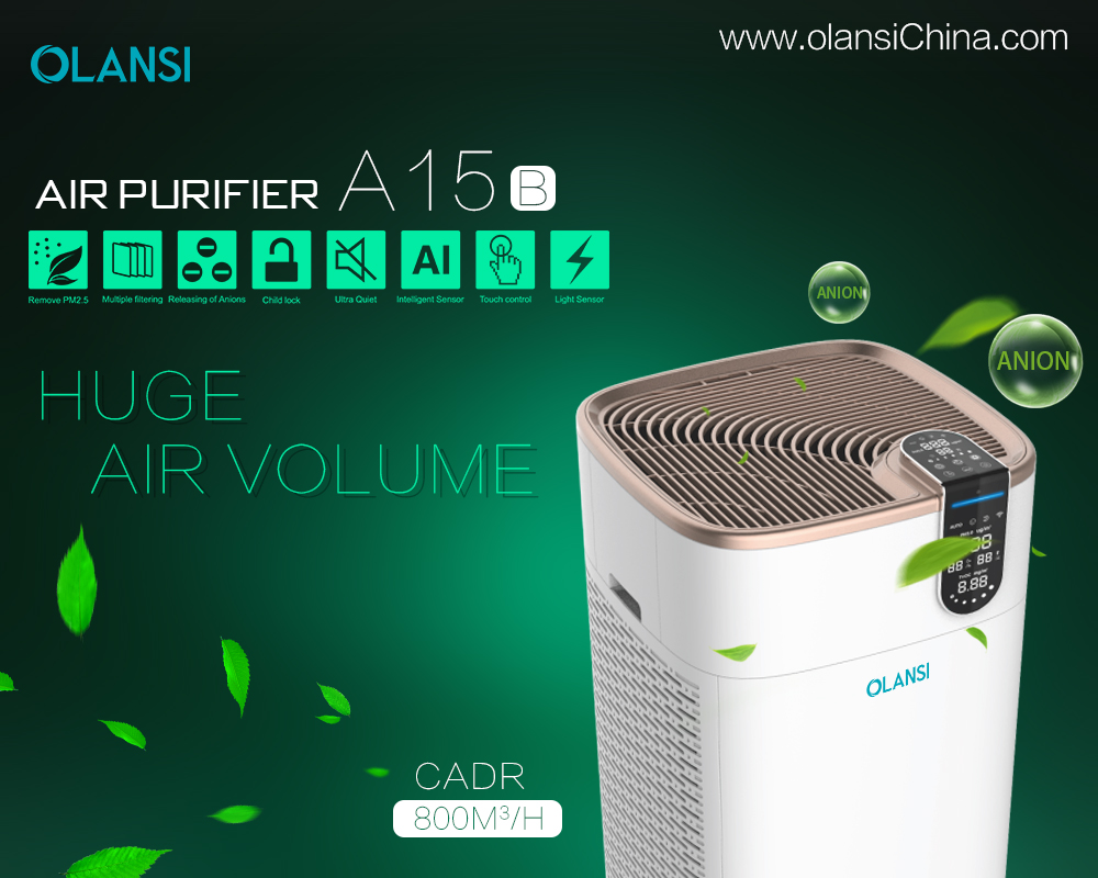 China Olansi Air Purifier Manufacturer (77)