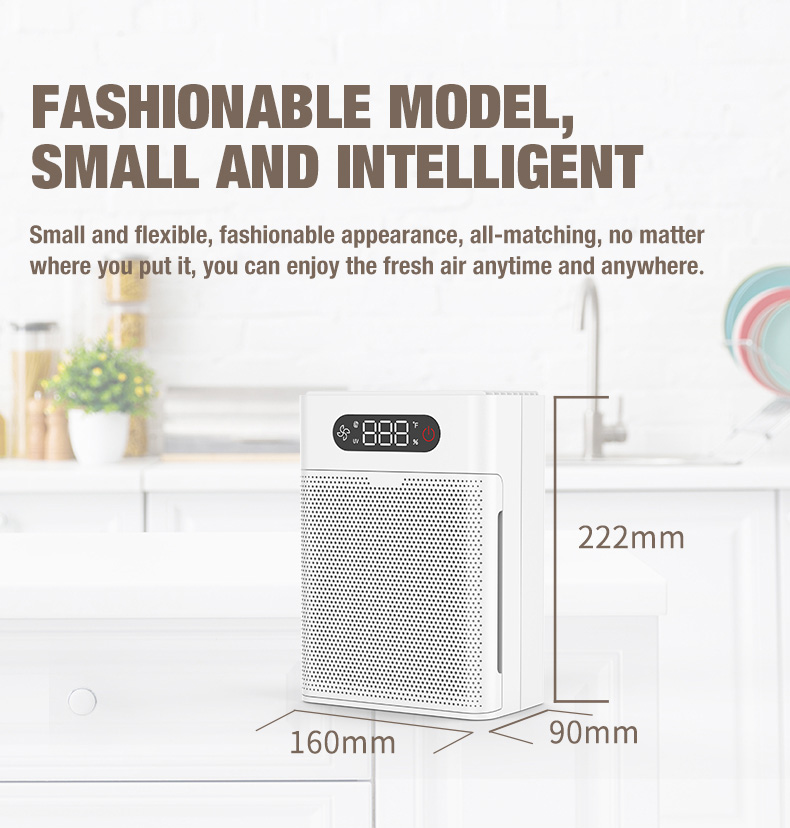 Olansi A1 Air Purifier Supplier (3)