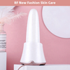 RF Radio Frequency EMS LED Wrinkle Remover Microneedling Machine Beauty Device